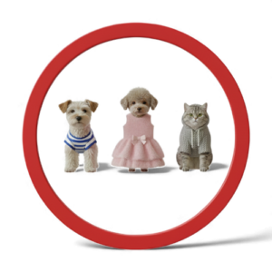 Pet Dresses