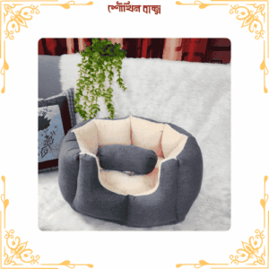 ছোট ক্যাট বেড